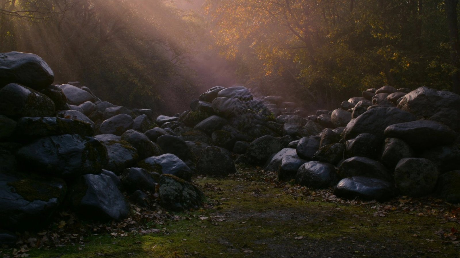 The World's Strangest Boulder Fields A boulder field at dawn, its rocks stacked deep along a wooded path